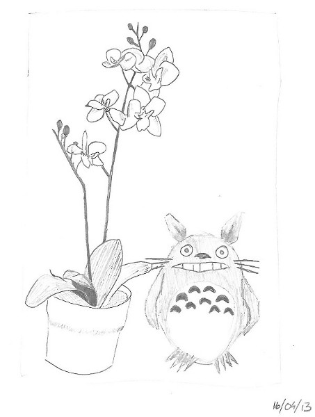 20130416_OrchideeTotoro