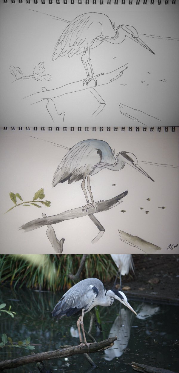 20130420_Heron