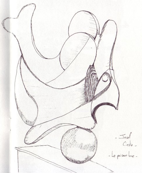 20130713_PoissonLune